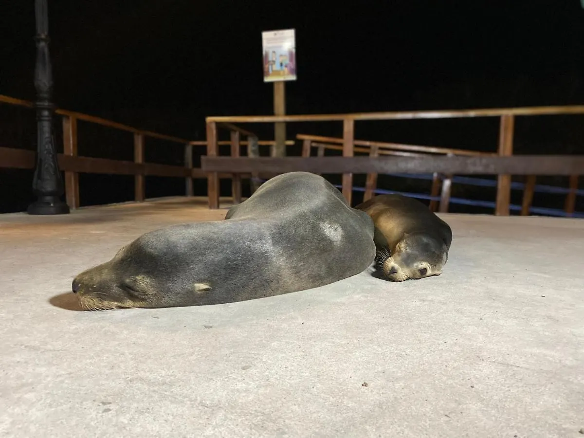 La Peregrina Galapagos B&B Puerto Ayora